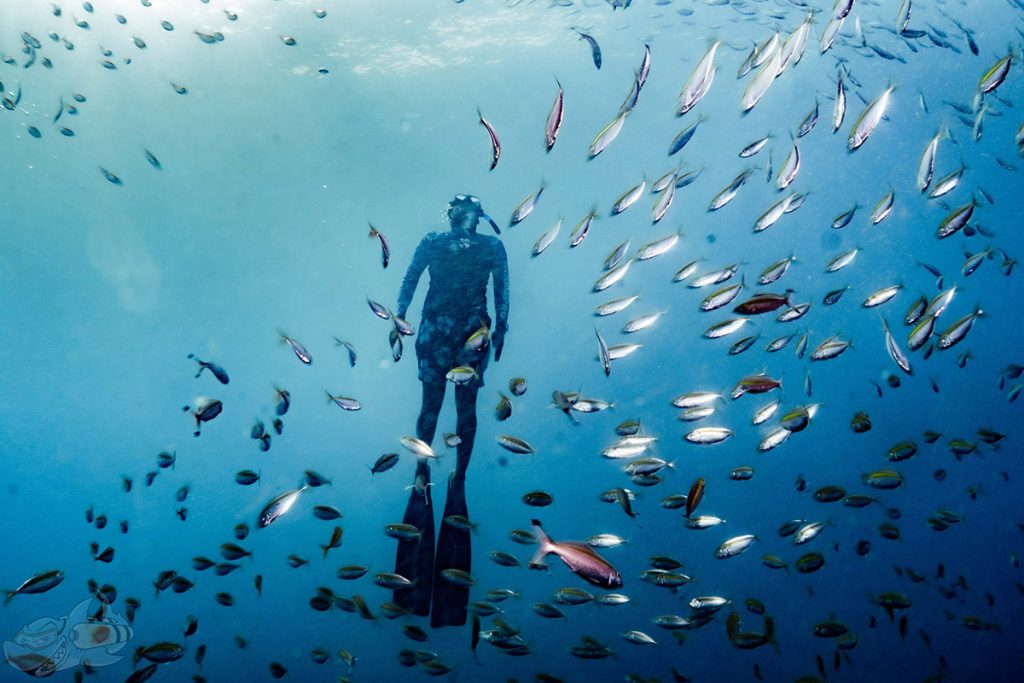 Adventure in Pondicherry