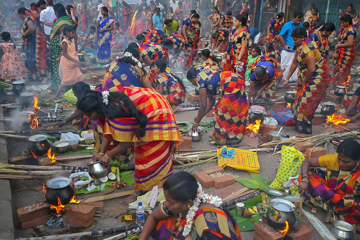 Pondicherry’s Pongal Extravaganza: A Symphony of Tradition, Festivity, and Unity